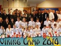 Viking Camp 2014